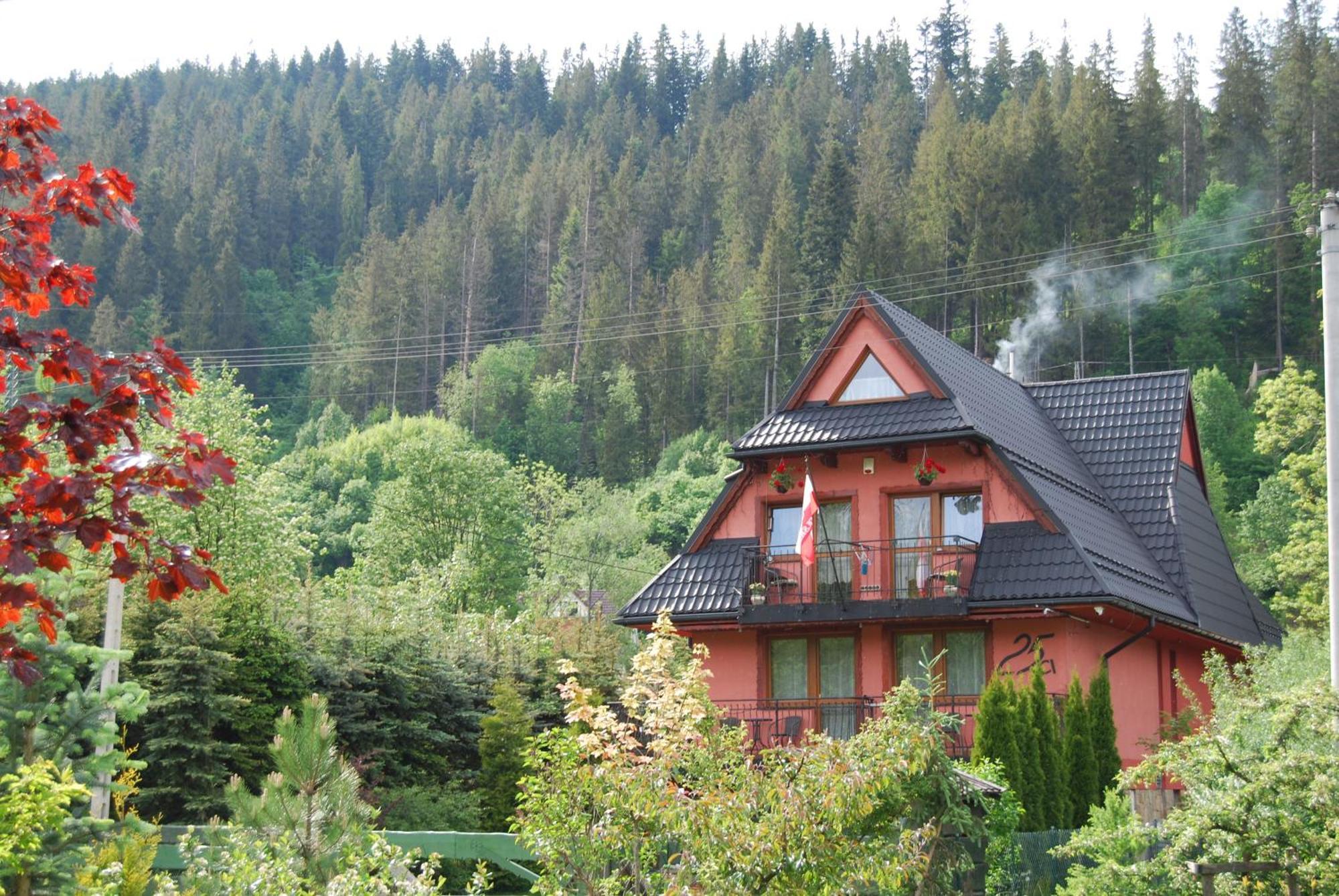 Willa Pod Bandera Zakopane Bagian luar foto