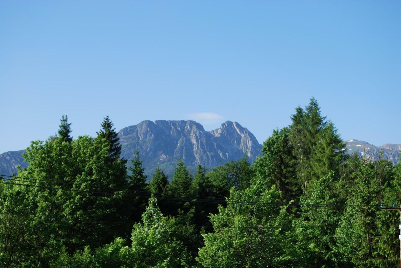 Willa Pod Bandera Zakopane Bagian luar foto